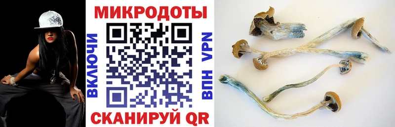 наркошоп  Советский  Псилоцибиновые грибы прущие грибы 
